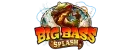 Big Bass Splash slot